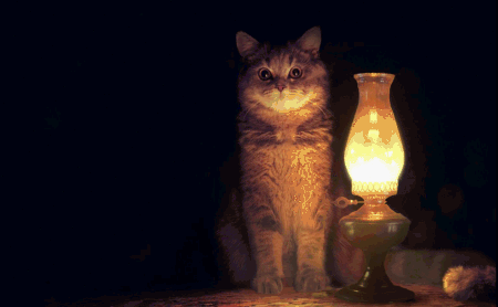 настало-время-охуительных-историй-гифки-песочница-котэ-951469.gif
