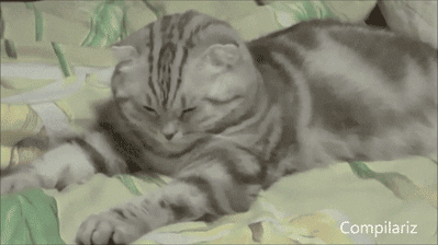 8934dc28e9f8f3a5a048afc50b732d3c[1].gif