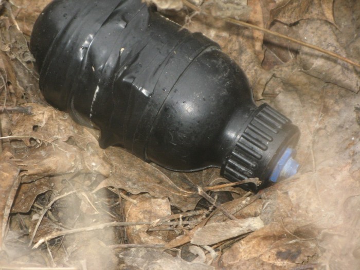 Hand-grenade-178[1].jpg