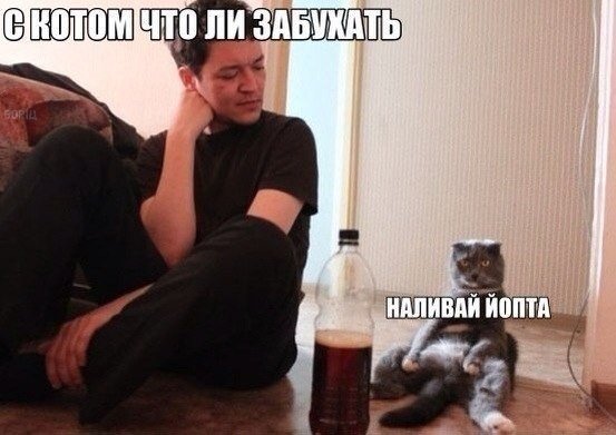-80956111_350252553.jpg