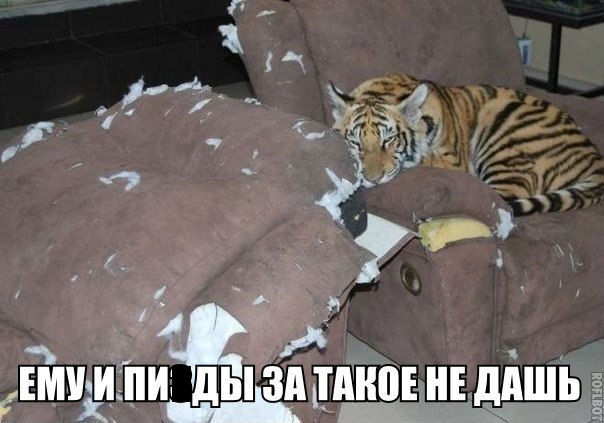 277931348_348581519.jpg