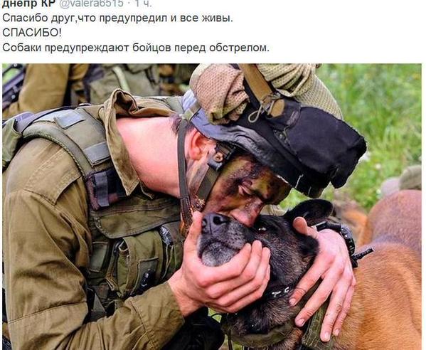B6M3WGNIAAAfvHv[1].jpg