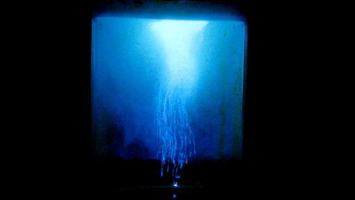 luminol-1-50[1].JPG