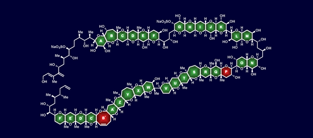 maitotoxin-only2_630m[1].jpg