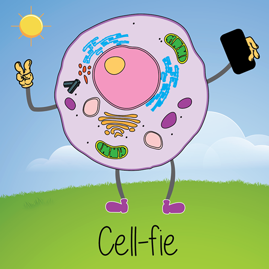 cell-fie.png