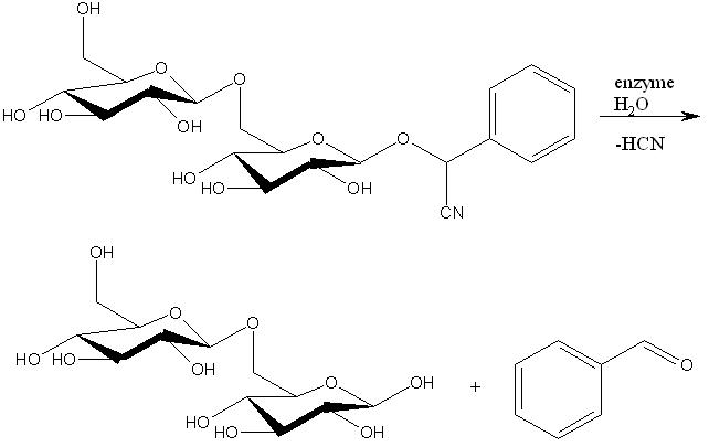 Amigdaline_hydrolysis.jpg