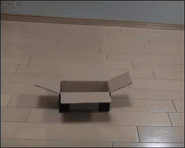 tumblr_mrlw0jYlll1qdlh1io1_r1_400.gif
