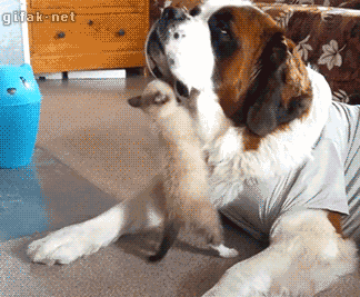 doc15418811_372404453.gif