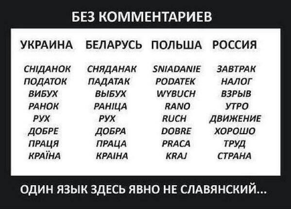 B_09fDpWEAAjzkF.jpg large.jpg