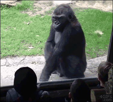 tumblr_mov29xatco1qdlh1io1_r2_400.gif