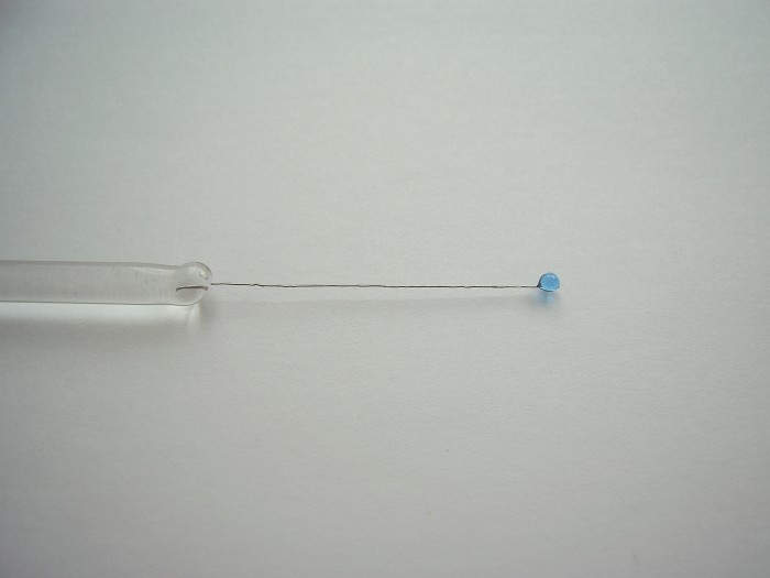 PIC_0007.JPG