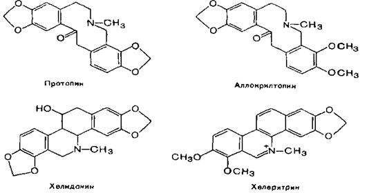 htmlconvd-i2hrEq_html_m5c64f50e.png