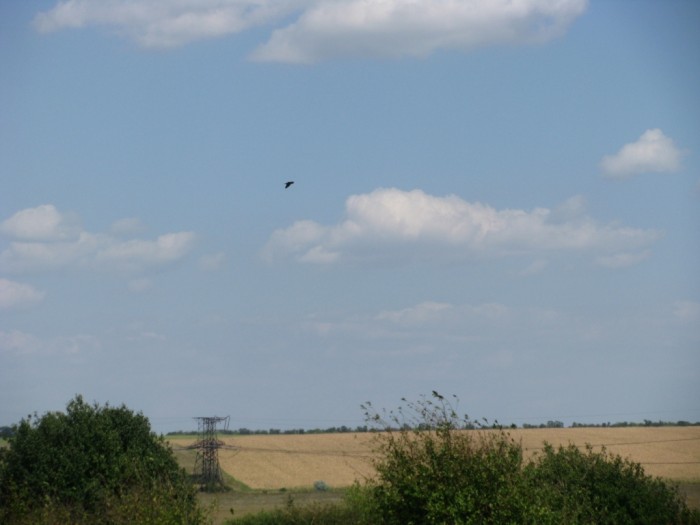 IMG_3060.JPG