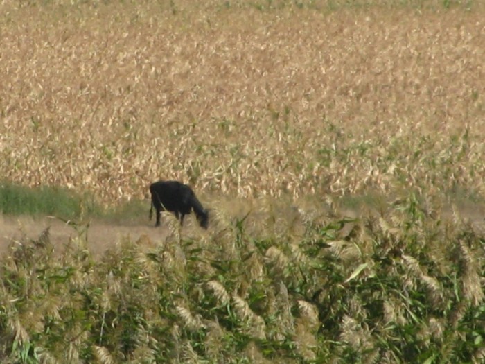 IMG_3728.JPG