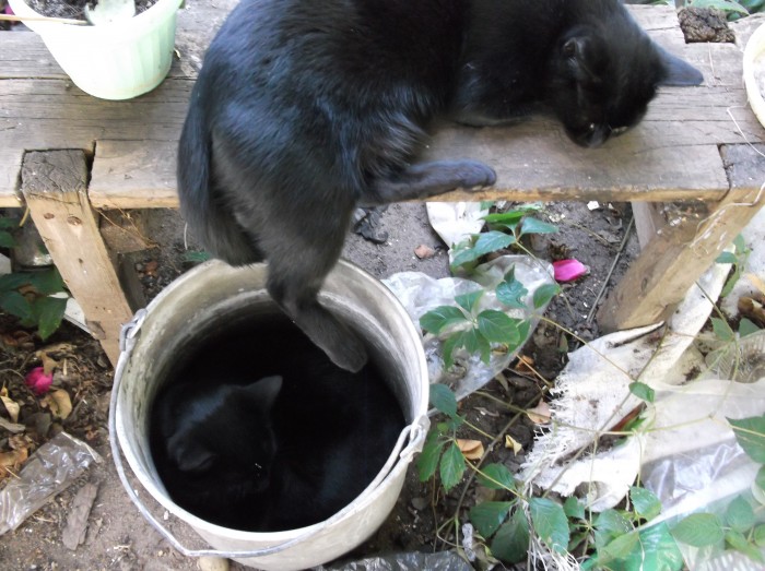 DSCF5109.JPG