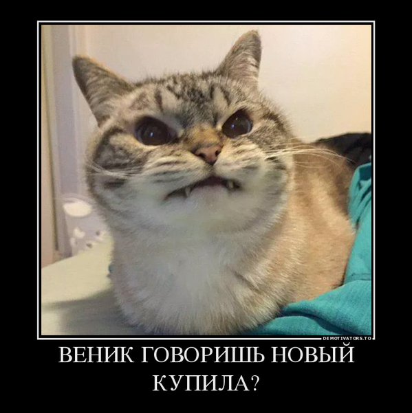 CSV2uBjU8AA2ZhA[1].jpg