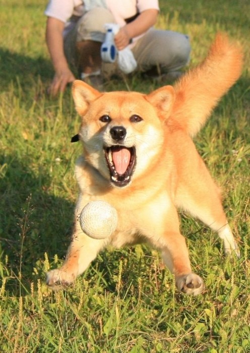 CSzx2OqWoAAo-uP.jpg