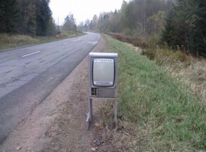 3383661.jpg