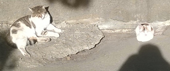 WP_20151002_002.jpg