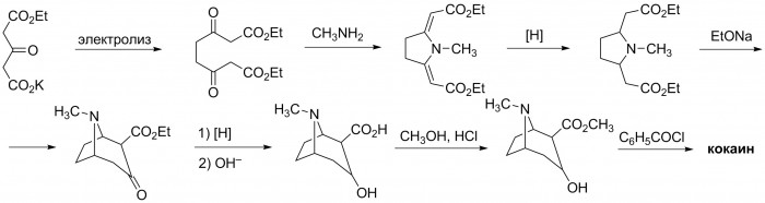 Cocaine-synthesis-Willstatter.jpg