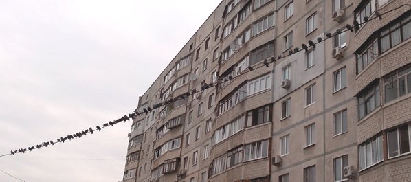 CVSvigDUsAABxdG[1].jpg