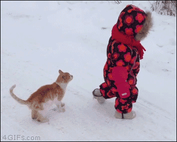 1448703622_822157029.gif
