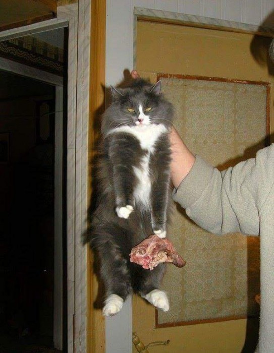 CXvQ7o5WcAAtJeW[1].jpg