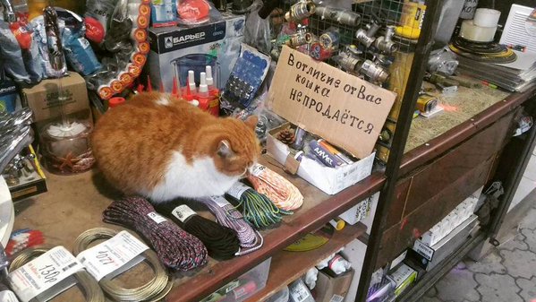CZAahTrWYAAFNkZ[1].jpg
