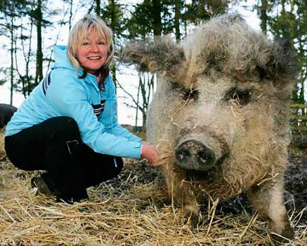 Mangalitsa-pigs-21.jpg