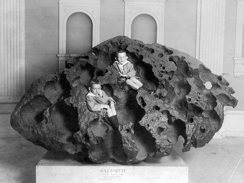 1911_метеорит_Вилламетт_(музей_естественной_истории._Нью–Йорк).jpg