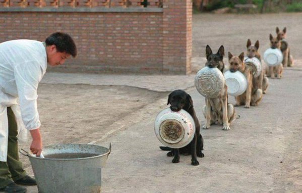 Cbg3N2ZWIAMgtGa[1].jpg