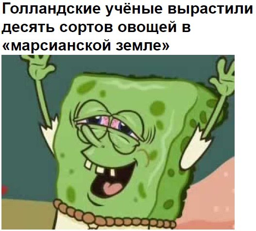 t_3x8G2IeTk.jpg