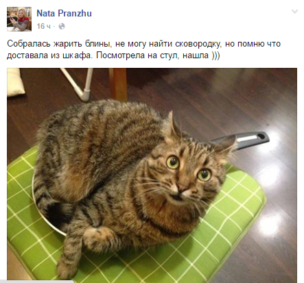 Cdb6amoW8AAhrzq[1].png