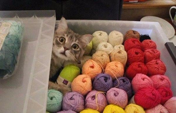 CdvoeYIWoAExD9p[1].jpg