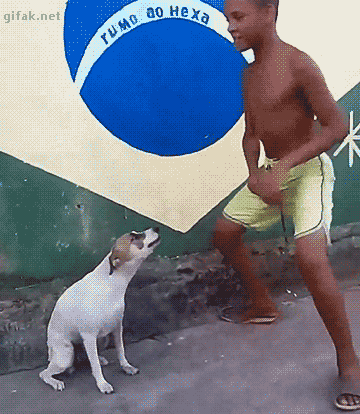 xpzse1.gif