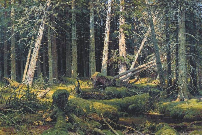 tmp_19806-Ivan_Shishkin_Burelom-1152138113.jpg