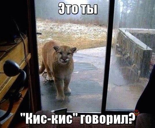 Ce2VLGWUMAA_xXy.jpg
