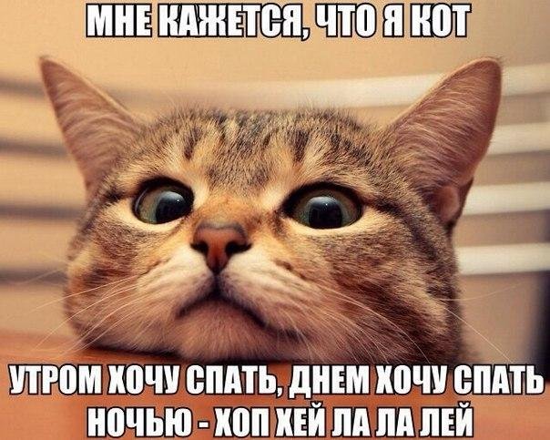 1459928296_anekdoty[1].jpg