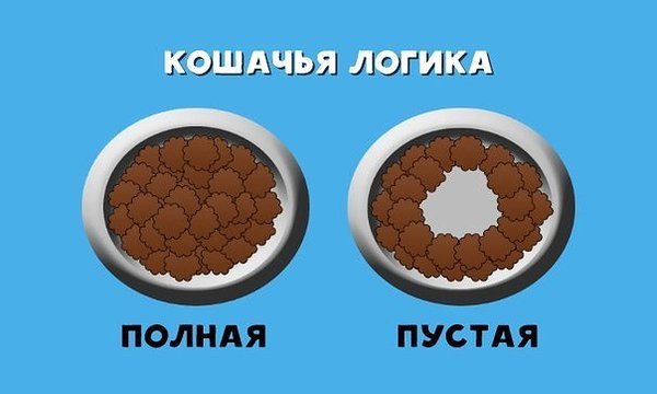 Cfvm4iBWwAAj2oE[1].jpg