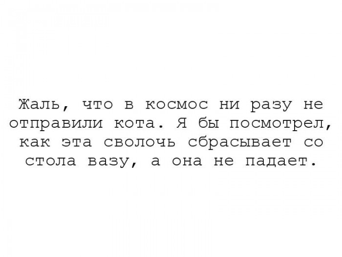 XiVwksVtX0Y.jpg