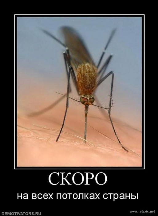 скоро_на_всех_потолках...jpg