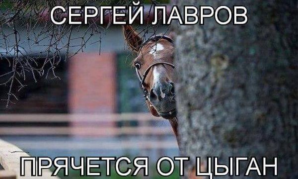 Cgo_gMwWMAE0sUr[1].jpg