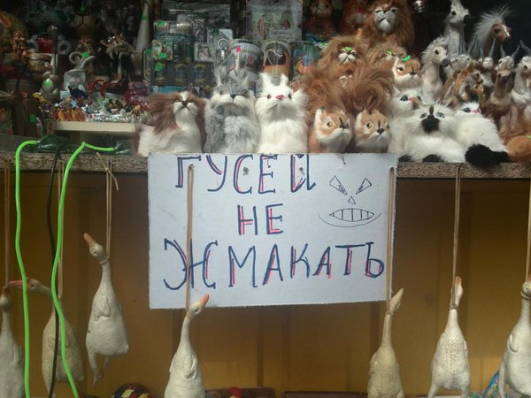 CguEaQJW0AEql8Y[1].jpg