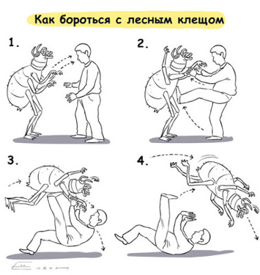 как_бороться_с_лесным_клещом.jpg