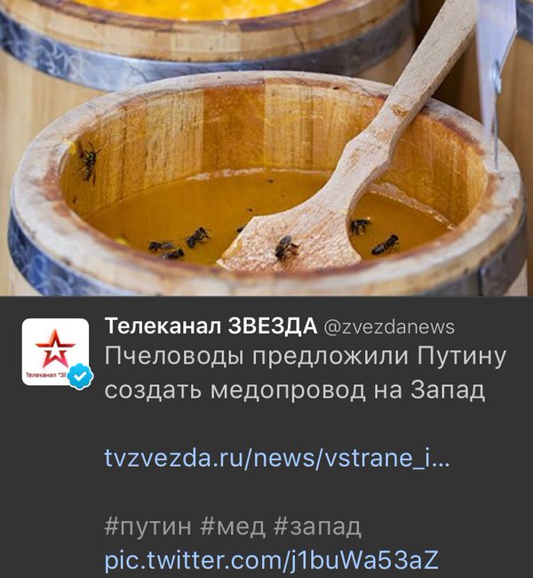 Cg5jARnW0AALSmf[1].jpg