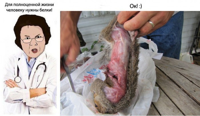 skinsquirrel.jpg