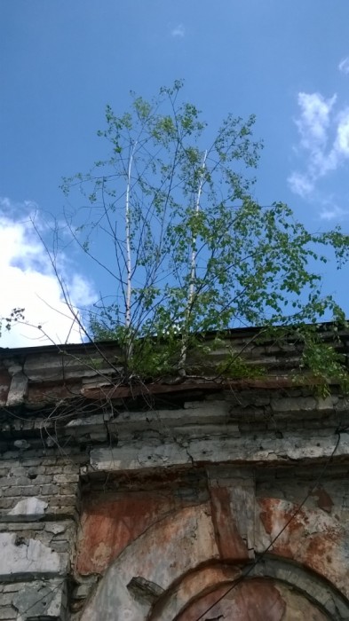 WP_20160531_003.jpg