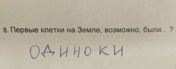 tmp_4849-AlIjRoN-YYI-908710833.jpg