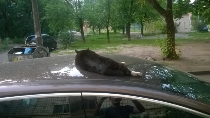 WP_20160618_001.jpg