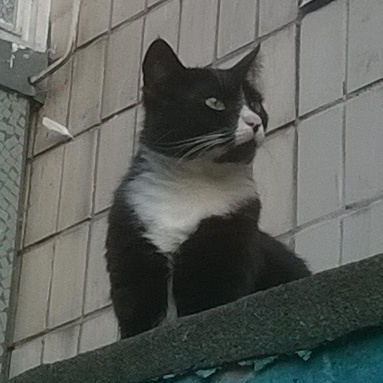 WP_20160619_006.jpg